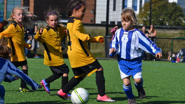 Wildcats make their debuts - Bedfordshire FA