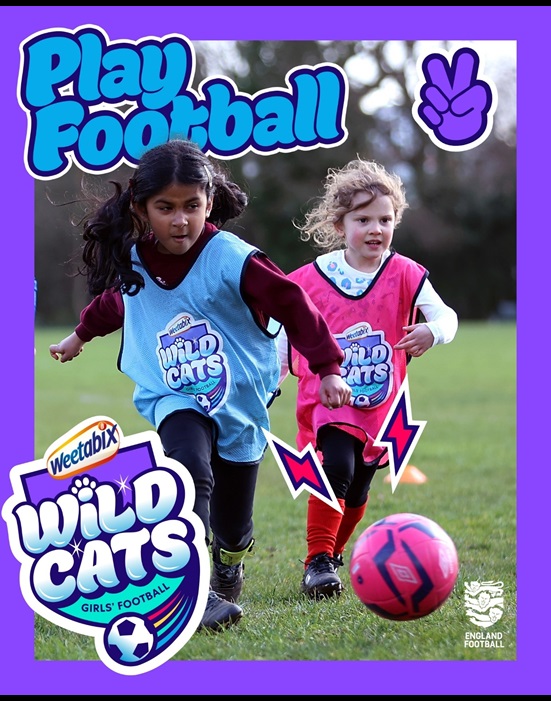 Wildcats Poster