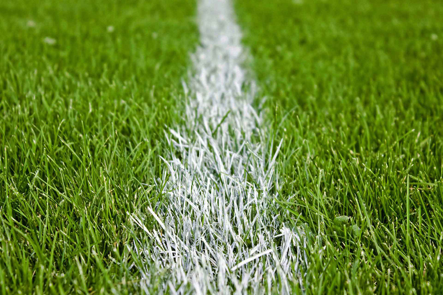 Pitch Improvement Programme Hertfordshire FA